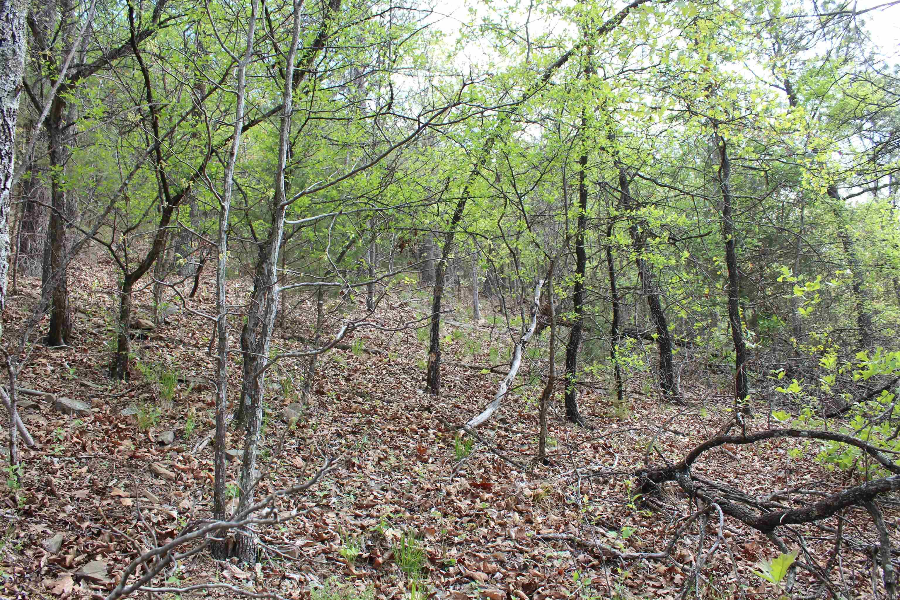 Not in Subdivision - Land