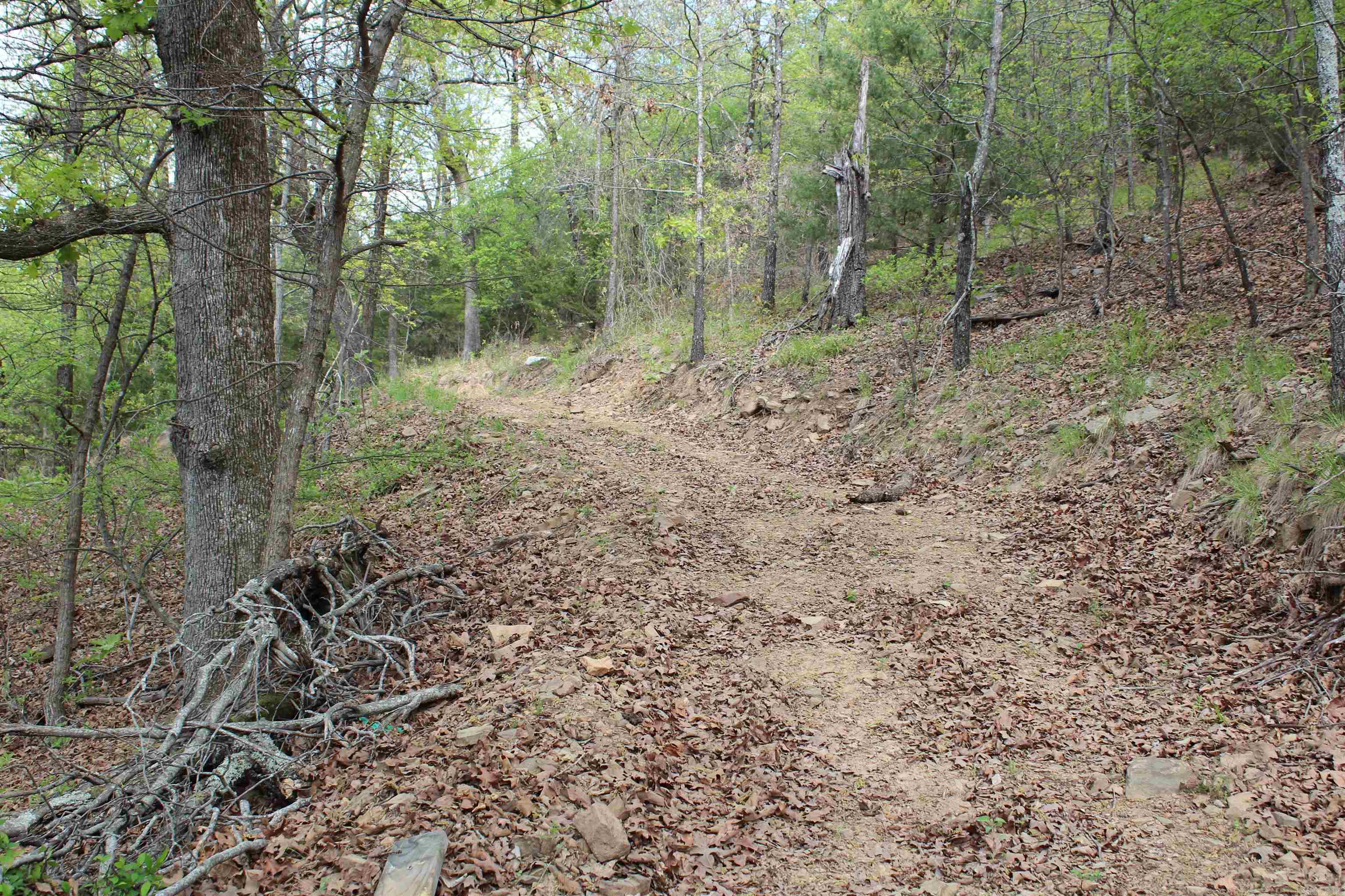 Not in Subdivision - Land