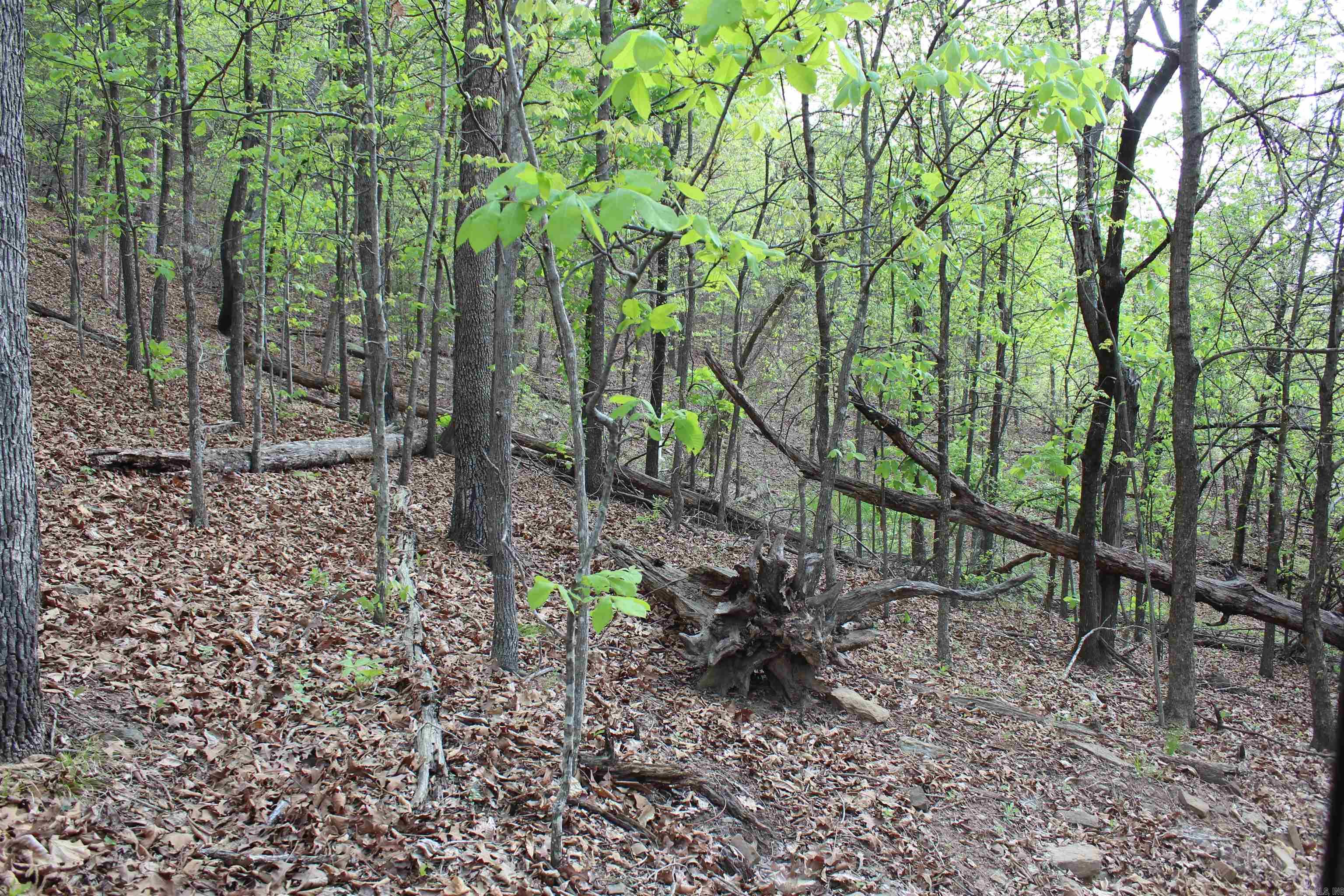 Not in Subdivision - Land