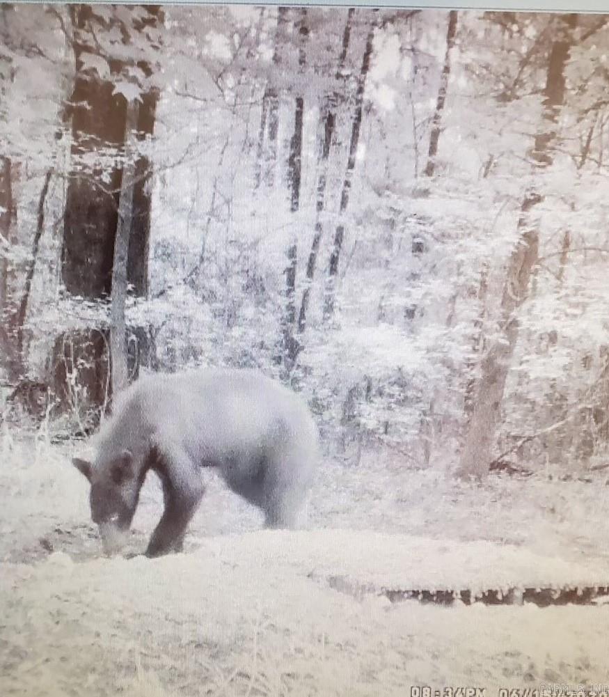 Greenbrier - Residential