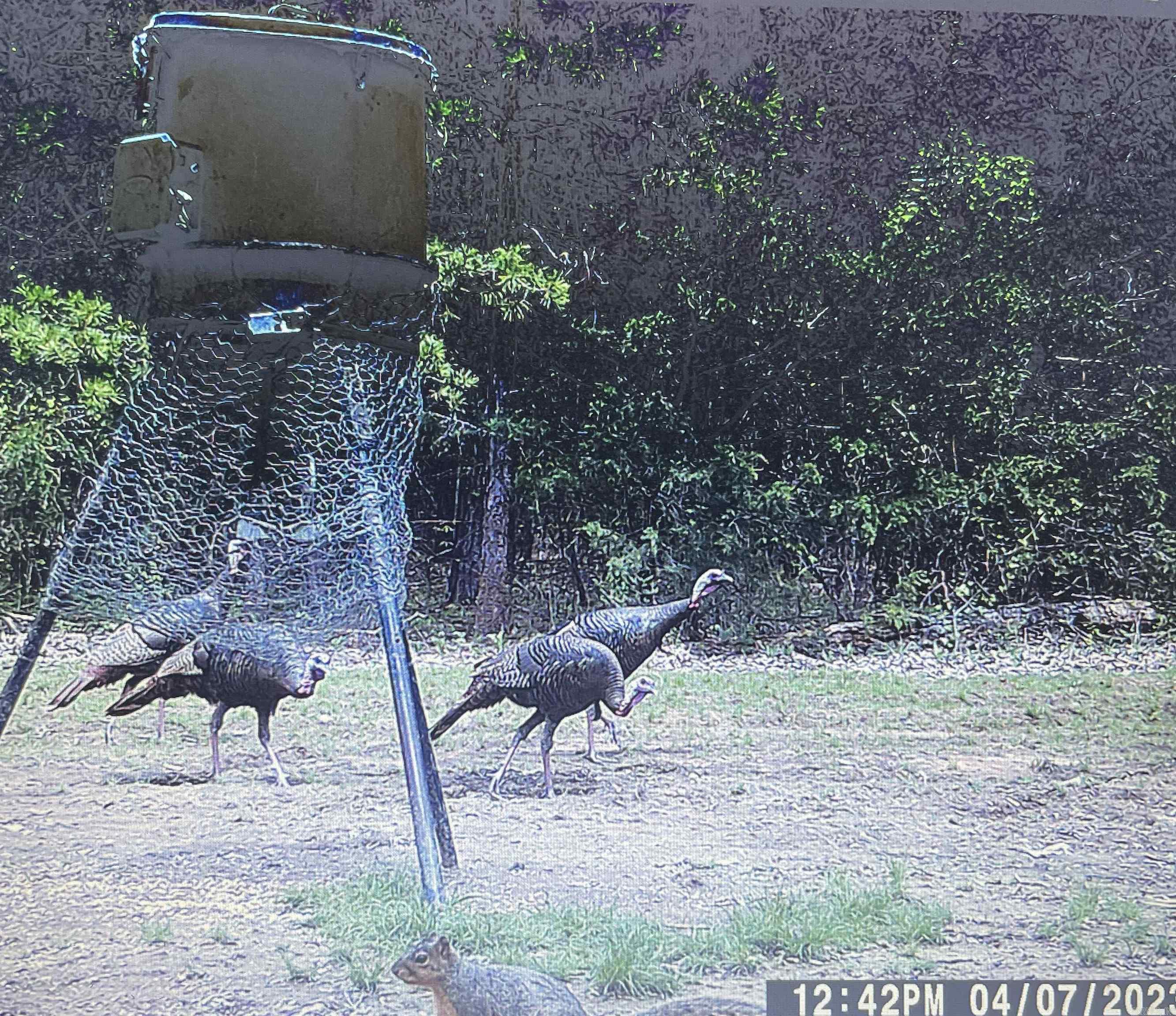 Greenbrier - Residential