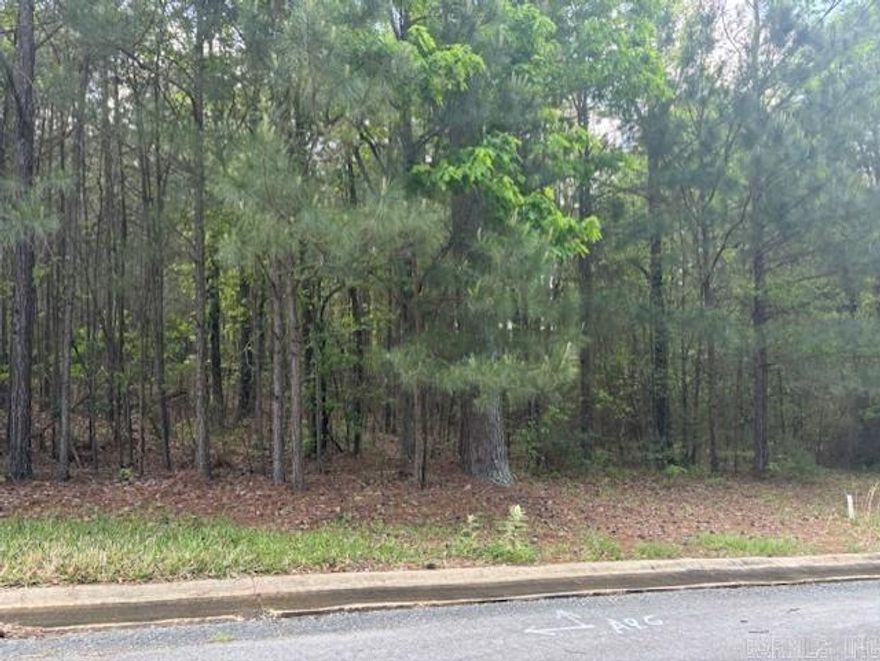 Residential Lot for sale