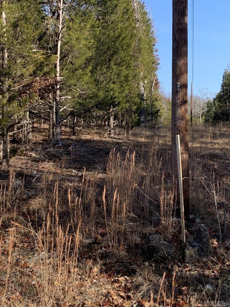 Corner lot with 3ac on paved road close to town with a country feel. Plenty of wildlife and a small creek runs through the property. Subdivision restrictions.