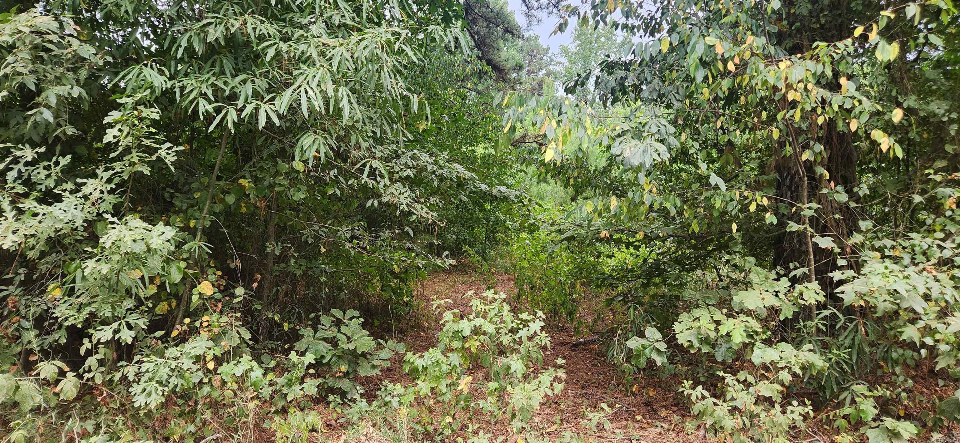 Looking for small acreage to move a mobile home on? This 4.54 acres is perfect!! Easy access to 530. A little TLC and these lots will be ready for its new owner. Property has an old mobile home on it that had utilities at one time.