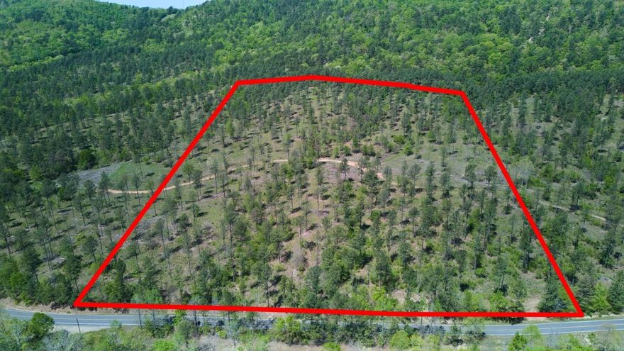 This is one of four 18.34-acre parcels that have the potential to be your new home. It has plenty of space, scenic rolling hills, and is outside city limits! The property is only 6 minutes from Cutter Morning Star School and 15 minutes from downtown Hot Springs, but it is secluded enough to provide a calm retreat after a long day. These won't last long, so call today to learn more!