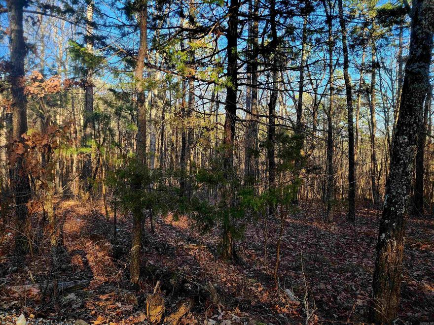 Two beautiful wooded lots in Anderson subdivision, with a well in addition to city water and electricity available.  This would be an ideal place to build your dream home or just a getaway cabin until you're ready to retire here in the Ozarks!  Secluded but just a short, scenic drive to Mountain View and all the amenities it has to offer.