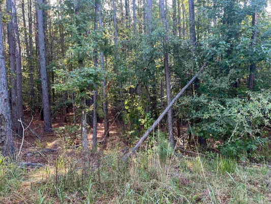 15 ROSBORO LOOP, AMITY, AR 71921 - Image 17cbdda265d1f3ffdfc0b7486617f2cd/2224133253