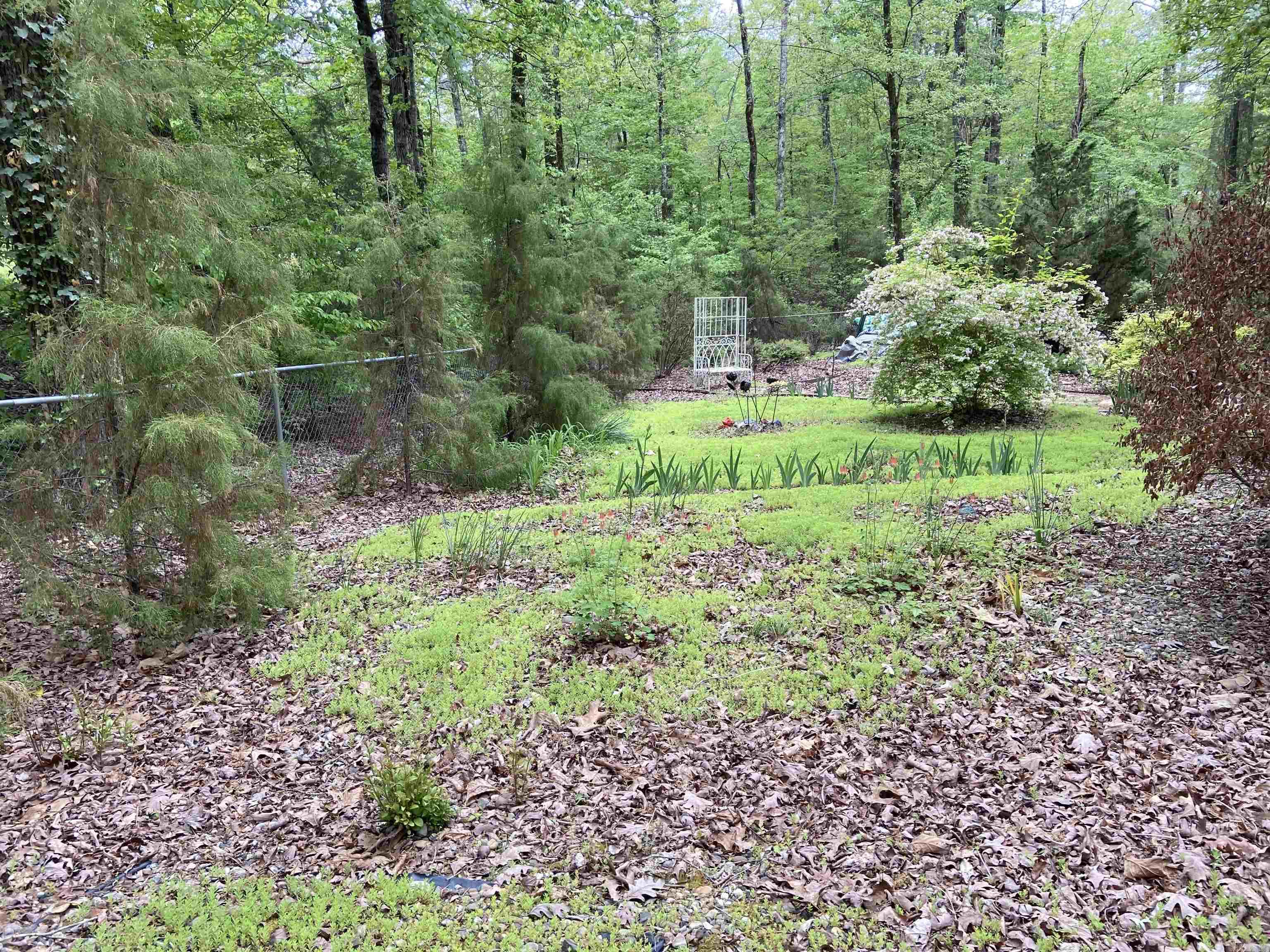 Rodriguez - Residential