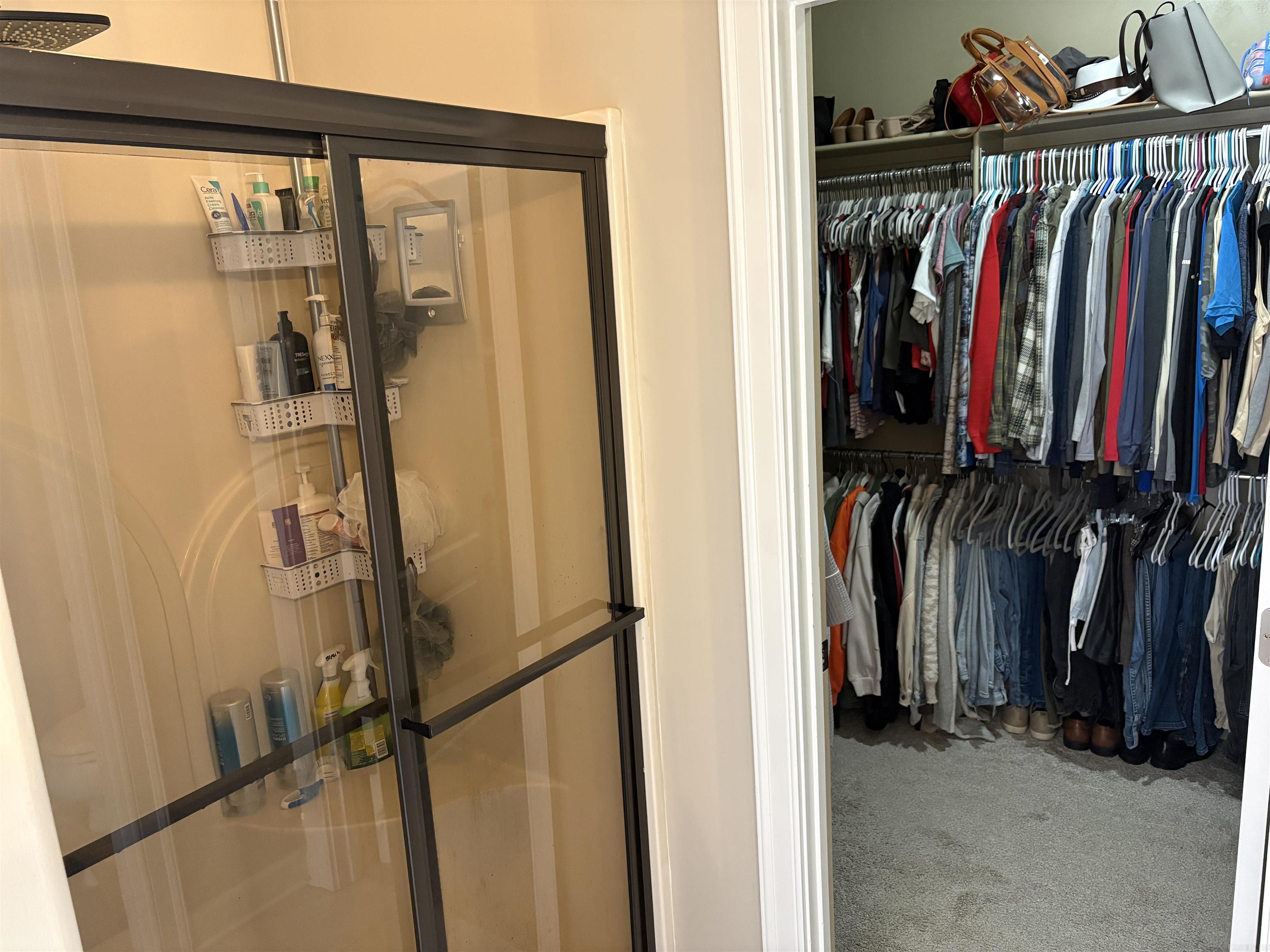 CHESTNUT MEADOWS - Residential