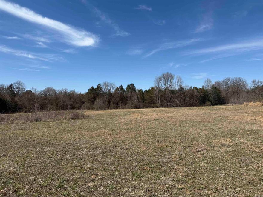 Tired of city living? In the market for you own hunting land or farmland? This 47 acre property is unrestricted allowing you to do whatever your heart desires. Property fronts both Fredricks Lick Road and Heffington Cemetery Road, a 30x30 metal shop with two 15' side sheds.