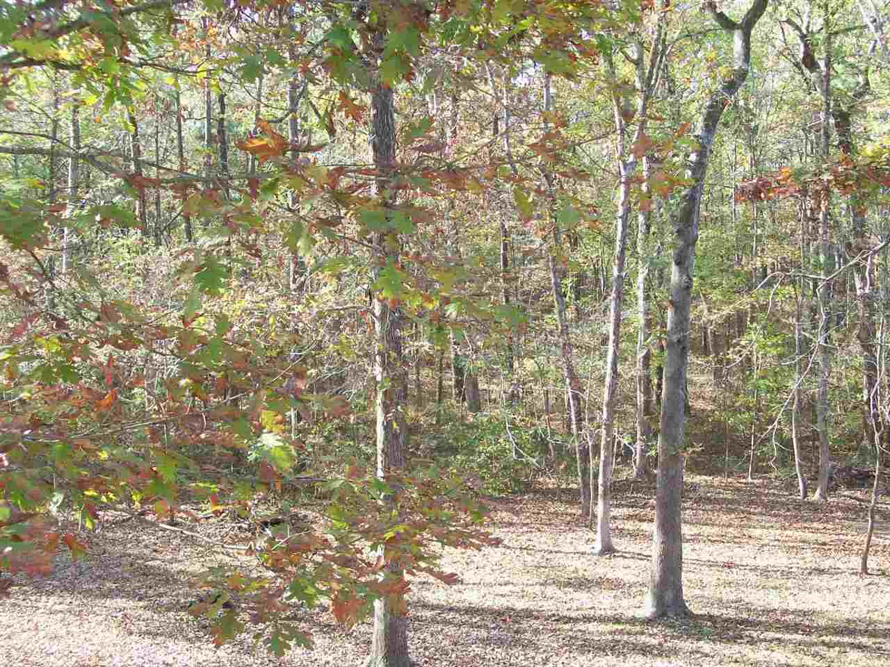 Lake View - Residential