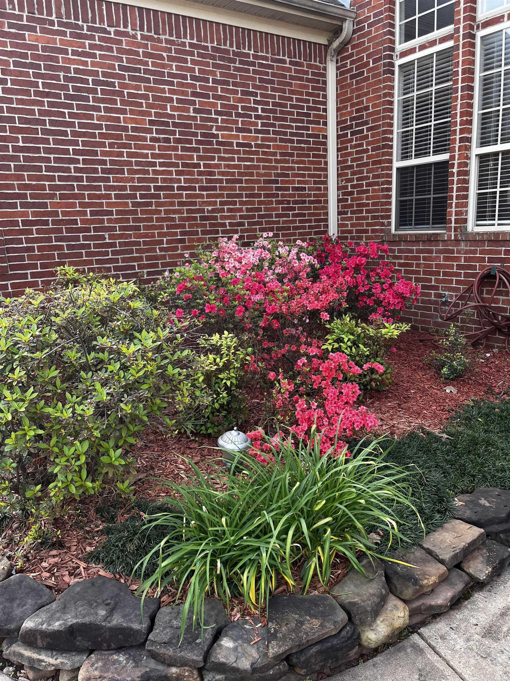 GAP CREEK THE RIDGE - Residential