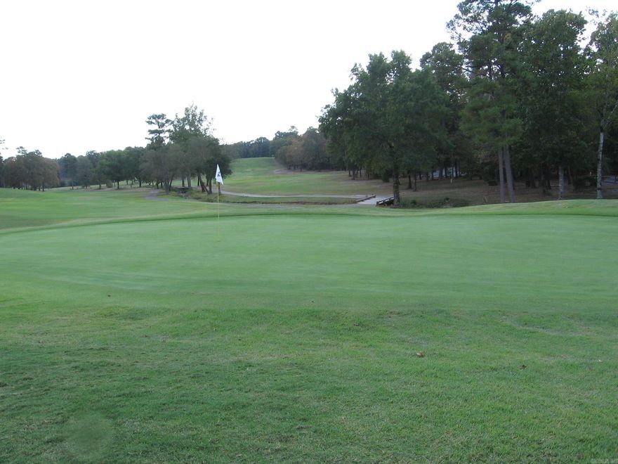 LEVEL ACRE LOT ON 1ST HOLE OF BALBOA GOLF COURSE WITH IT'S OWN CREEK RUNNING THRU IT. ONCE PART OF DEVELOPERS RESERVED PROPERTY. DRIVE YOUR GOLF CART UP TO PRO SHOP & RESTAURANT. EASY ACCESS TO DANVILLE GATE & HOT SPRINGS. BEAUTIFUL PART OF THE VILLAGE.