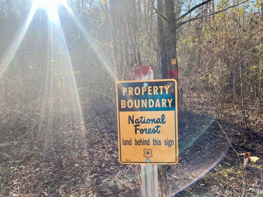 Located just 2.75 miles north of Anglers Trout Dock, this 15.5-acre tract offers an incredible opportunity for outdoor enthusiasts. With the Ozark National Forest as its western boundary, you’ll enjoy endless hunting opportunities. The property features an old homestead with an old log barn still standing. Conveniently fronting Highway 5 for excellent access, this property is close to the White River, JOJO’s Catfish Wharf, and Jack’s Trout Dock. It’s also just a short drive to the Ozark Folk Center and the vibrant town of Mountain View, Arkansas. This 15.5 acres is priced to sell at $116,000.