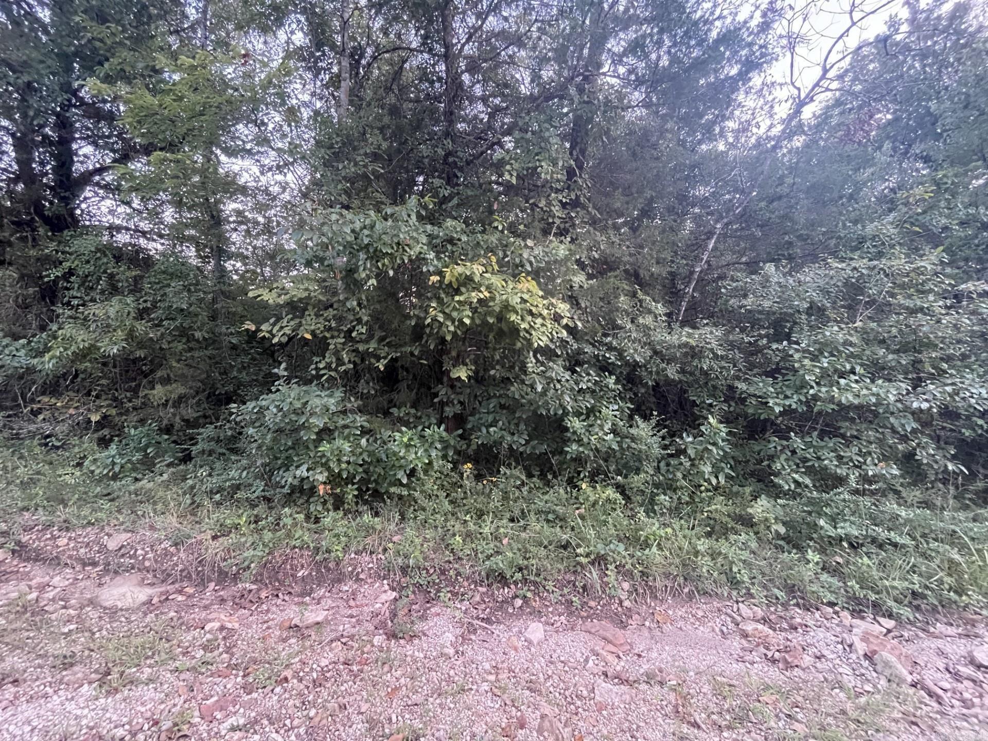 THE PERFECT CANVAS for your dream home in the heart of Diamond City, AR! Conveniently situated just off HWY 7, offers a unique blend of natural beauty & modern amenities. With city water, elec, sewer, & even fiber optics available, this lot will turn your vision into a reality. Whether you're working from home, streaming your favorite shows, you'll have the connectivity you need. Just 1/2 mile from a top-notch Diamond City Country Club & Golf course. The lot is a little over 3 miles from an inlet for Bull Shoals Lake, providing you w/easy access to boating, fishing & aquatic recreation. This is your opportunity to create the lifestyle you've always envisioned. Whether you're planning to build a yr-round residence or a weekend retreat, this lot is ready to accommodate your dreams. Secure your piece of Diamond City, and start living the life you've always wanted.