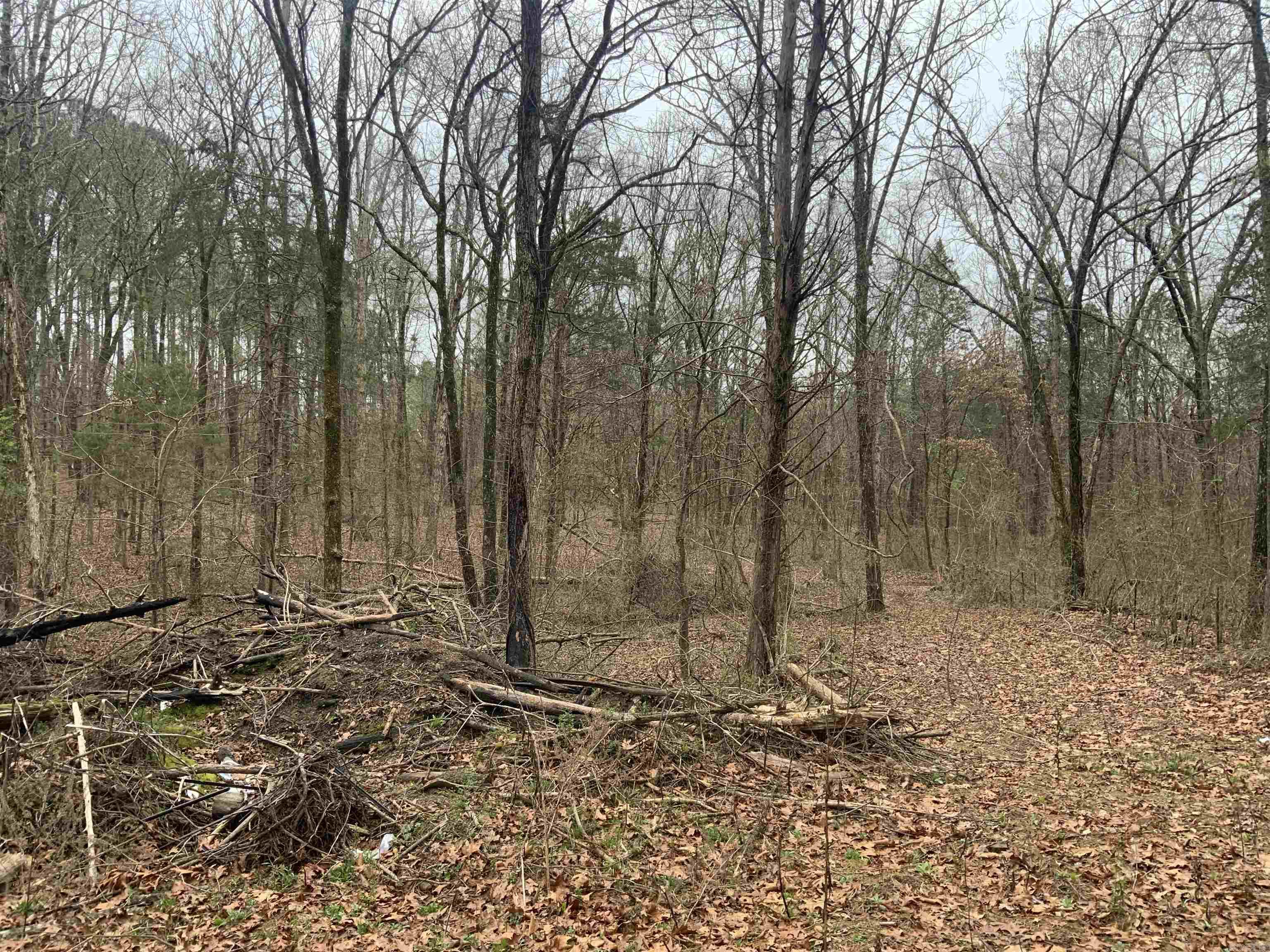 South Hill Estates - Land