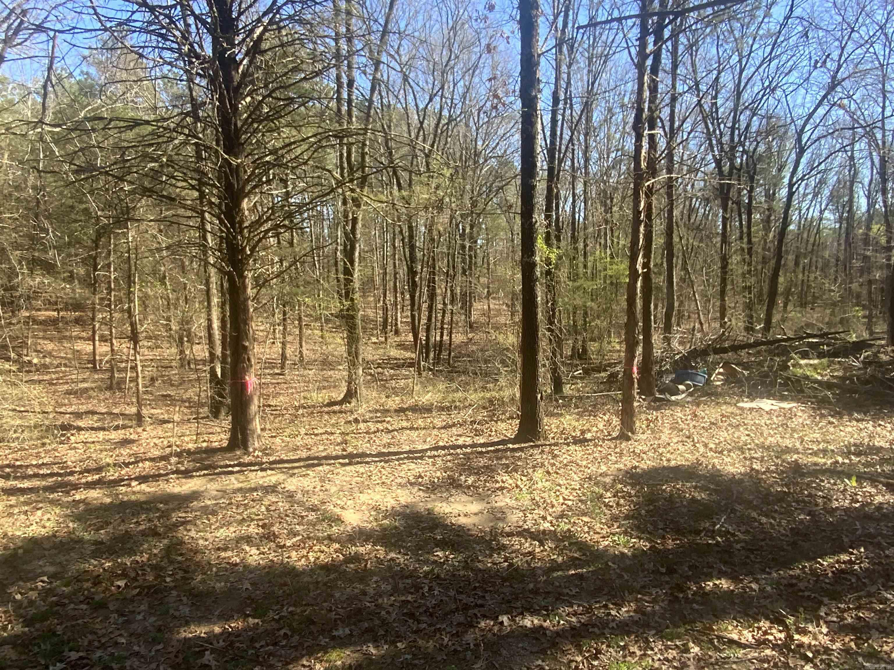 South Hill Estates - Land