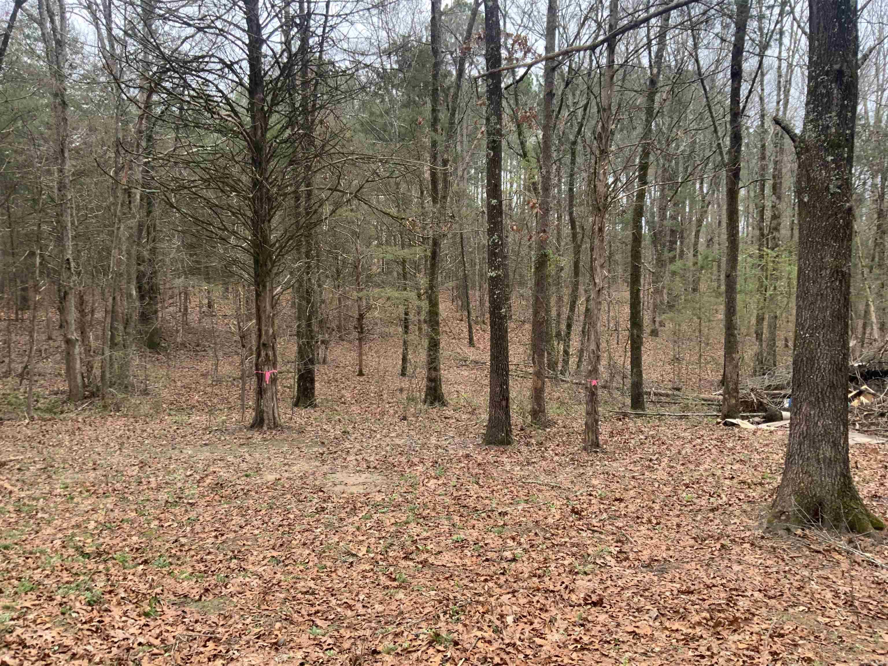 South Hill Estates - Land