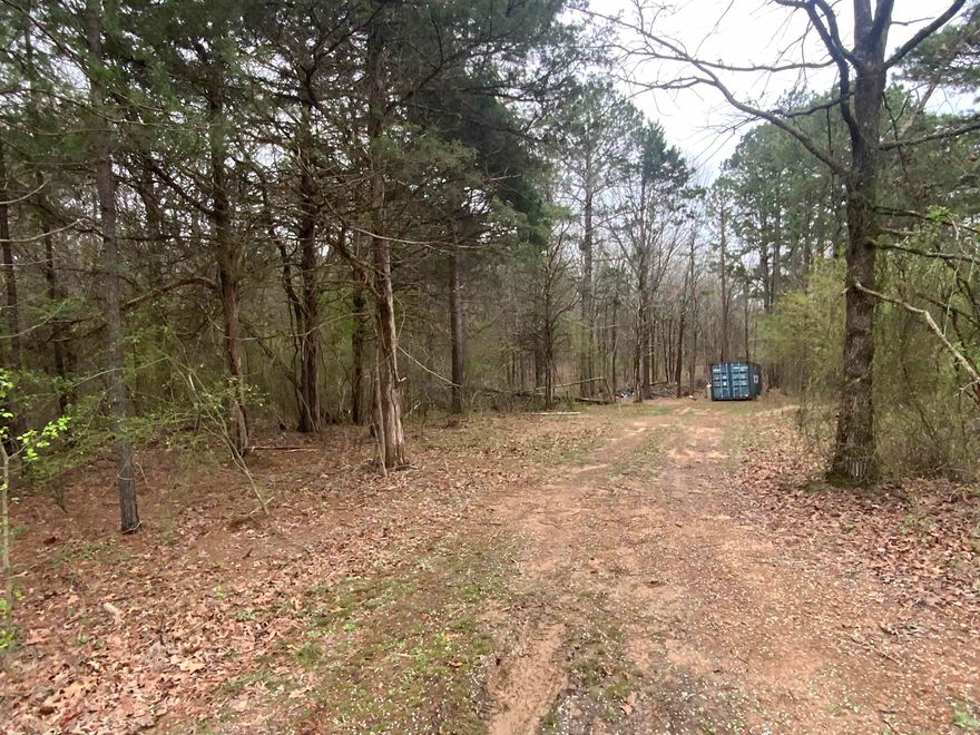 Very nice wooded lot in an unrestricted neighborhood. There is a shipping container that conveys with the property for a container home or just for storage. Agents see remarks. No Restrictions, Mobiles Allowed