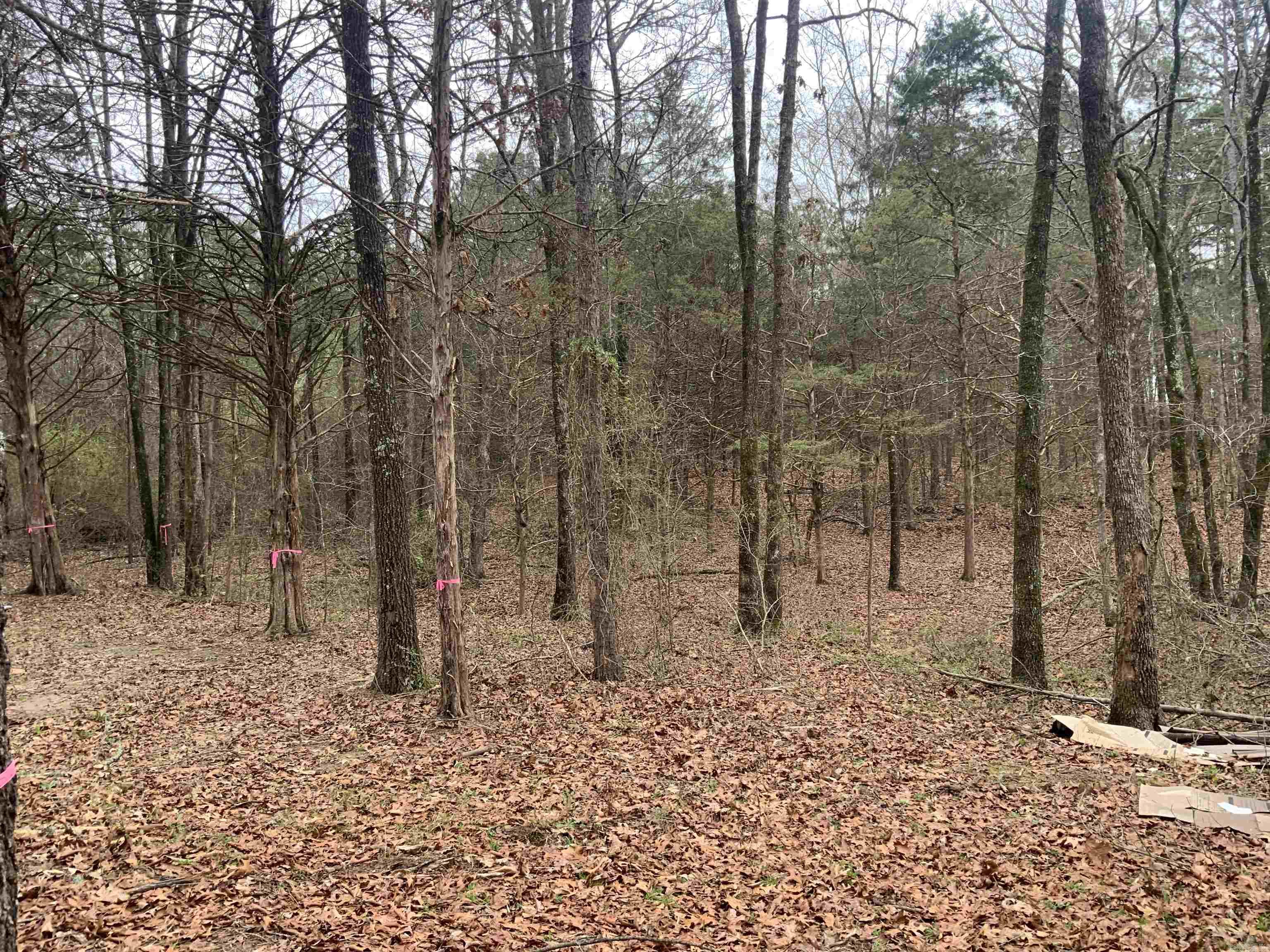 South Hill Estates - Land