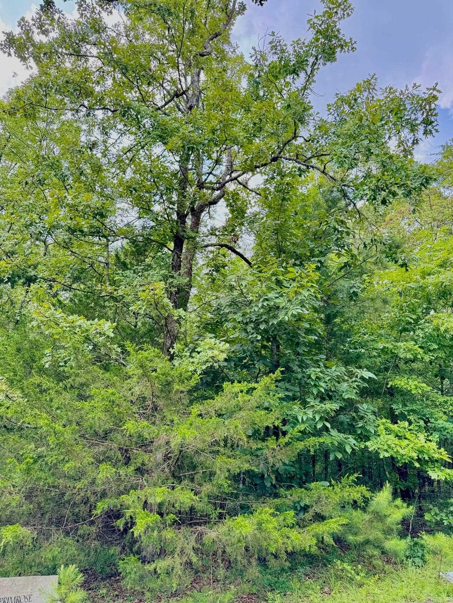 Are you dreaming of retreating to the beautiful Little Red River? This picturesque land is the perfect place to build your cozy dream home. Escape the hustle and enjoy a quiet community that offers a private community pool, boat ramp and dock on the Little Red River and minutes away from Greers Ferry Lake! This gated community offers modern amenities, access to hiking trails, boating, swimming and world-record trout fishing. Access to all the Natural State has to offer is only an offer away. Let us make your dream a reality! This beautiful lot even has a creek view!