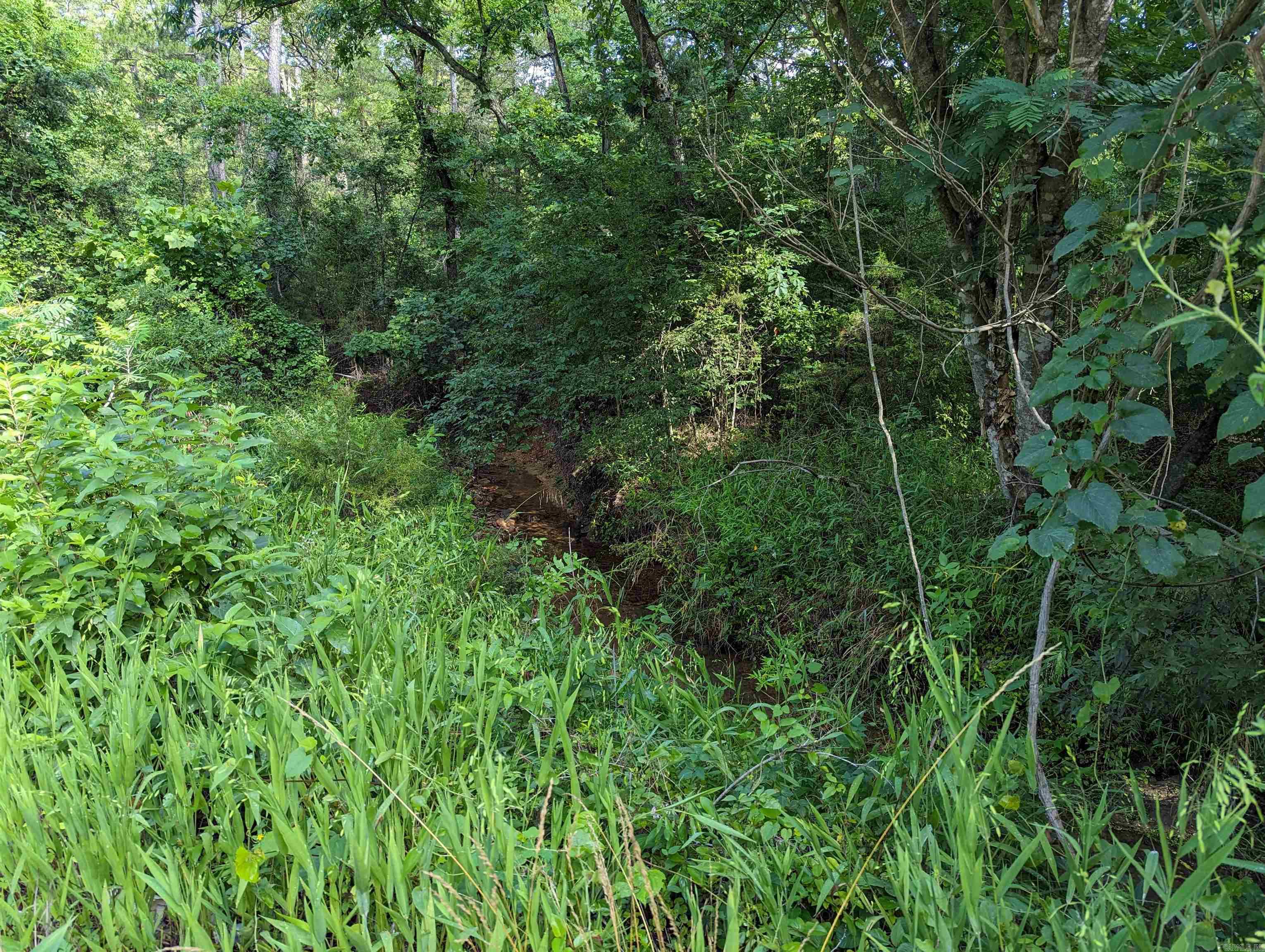 Not in Subdivision - Land