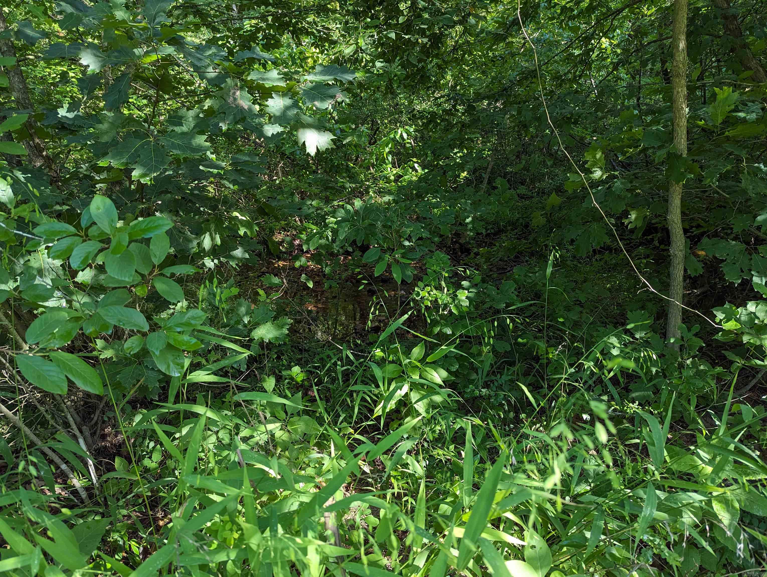 Not in Subdivision - Land