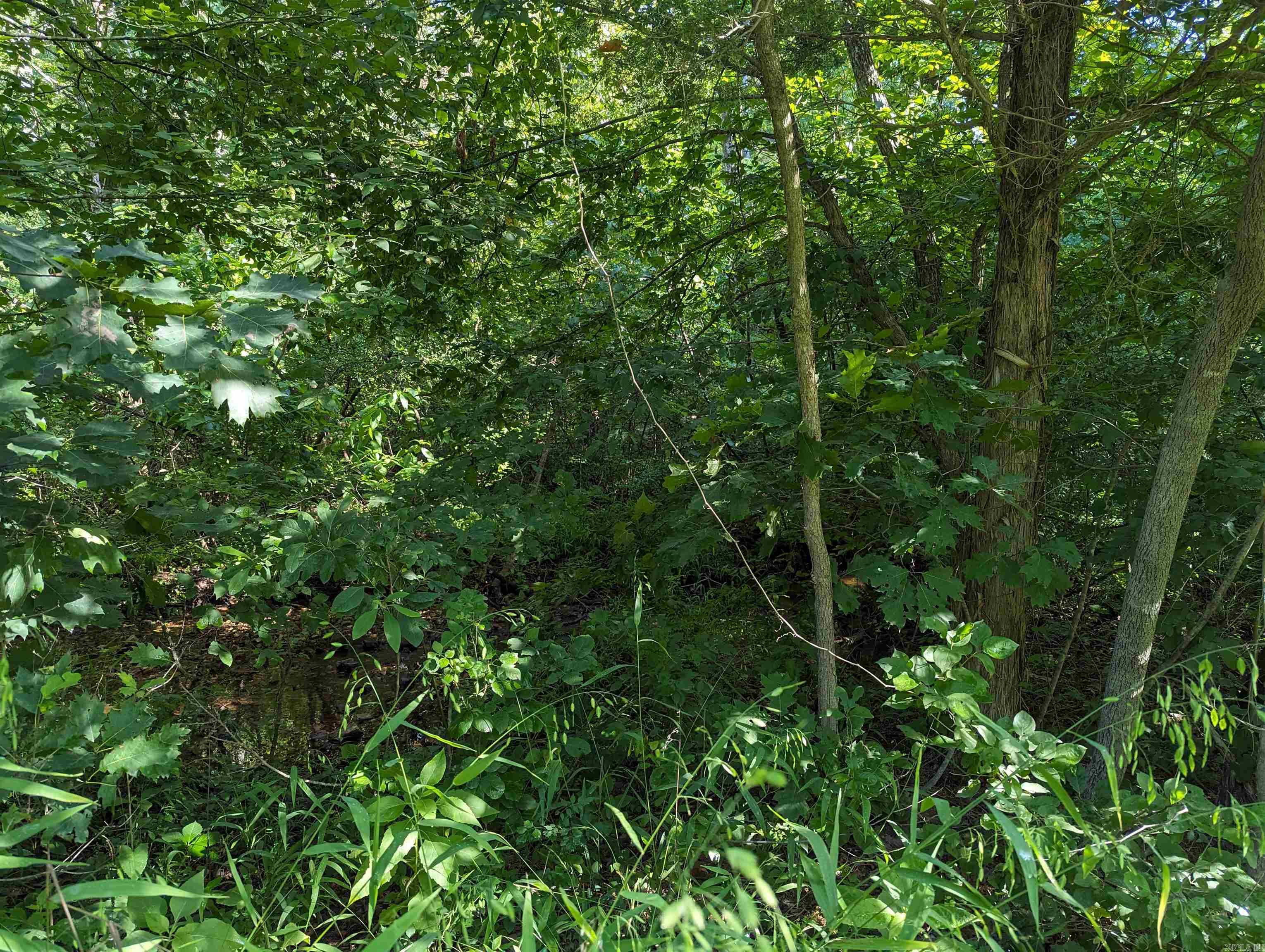 Not in Subdivision - Land