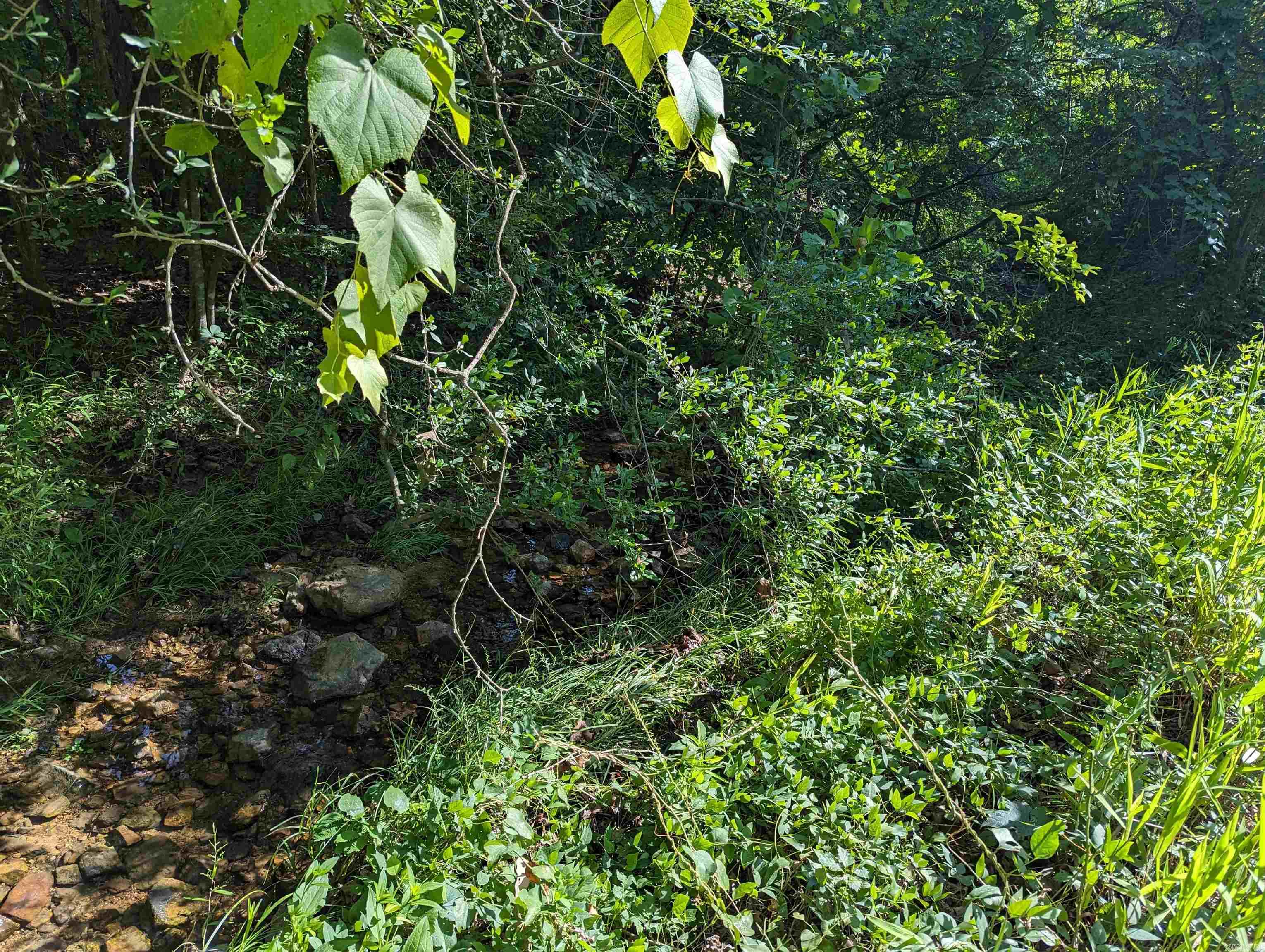 Not in Subdivision - Land