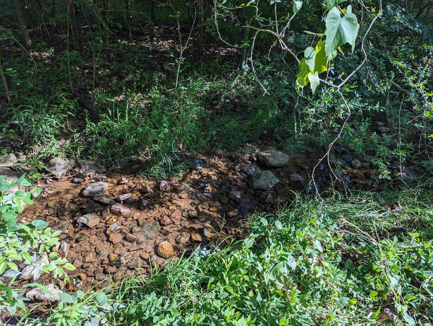 Here's a great tract of land in Baxter County, Arkansas that is near Norfork Lake. The property is located on Hopewell Hollow Road in the Norfork/Jordan area and contains 25 acres more or less. There is a small creek that meanders along the property. It is mostly wooded and has county gravel road frontage. Electricity is available. There are no restrictions. This property would be a great hunting tract or could be made into a weekend getaway near the lake or even your full time residence. There are a lot of options.