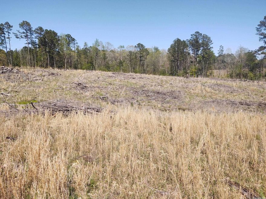 SELLER IS RETAINING MINERAL RIGHTS.