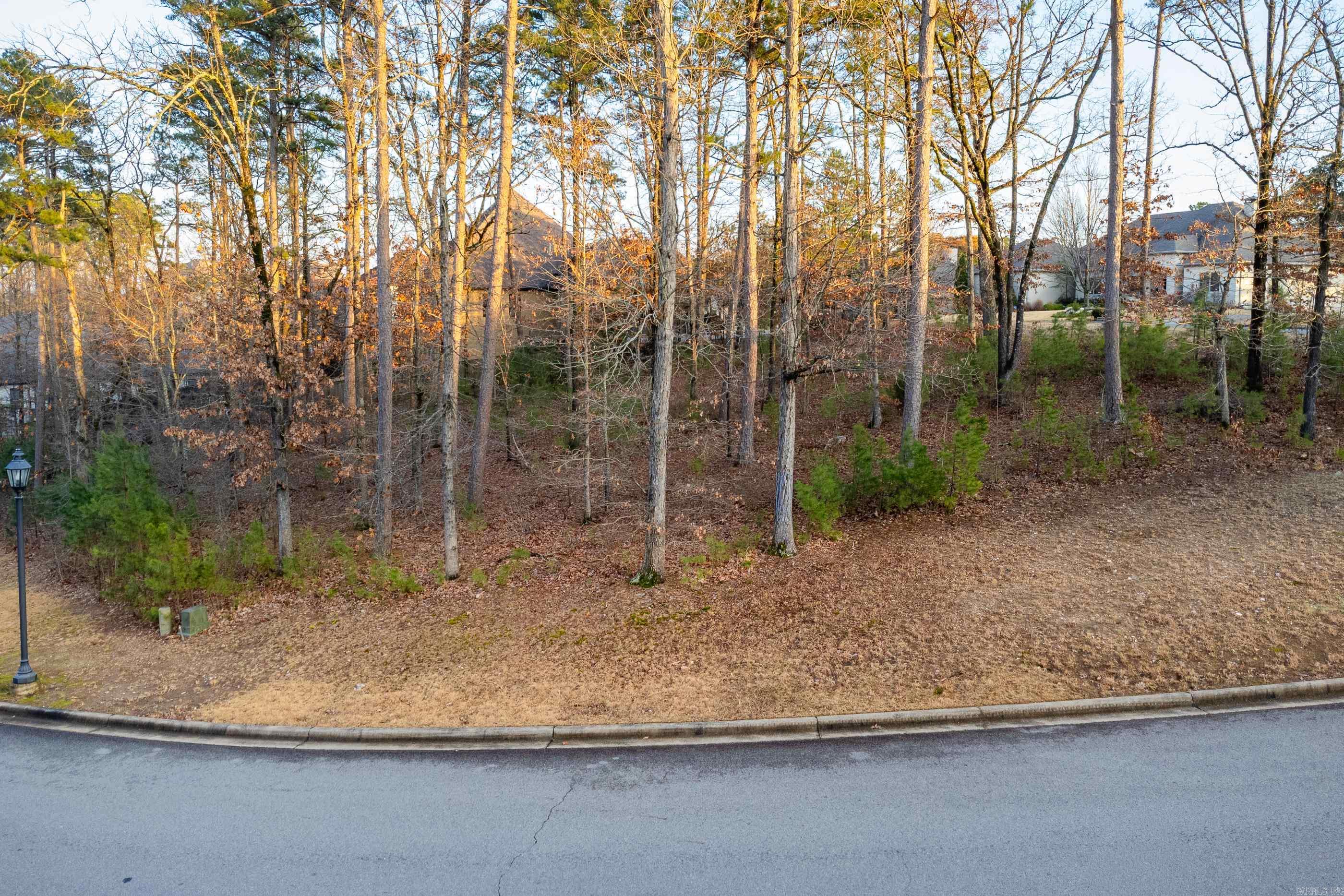 CHENAL VALLEY SEZANNE COURT - Land
