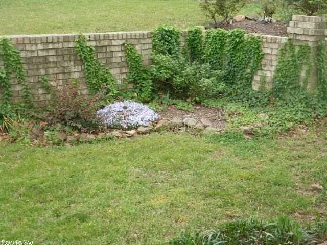 Markham Pines - Residential