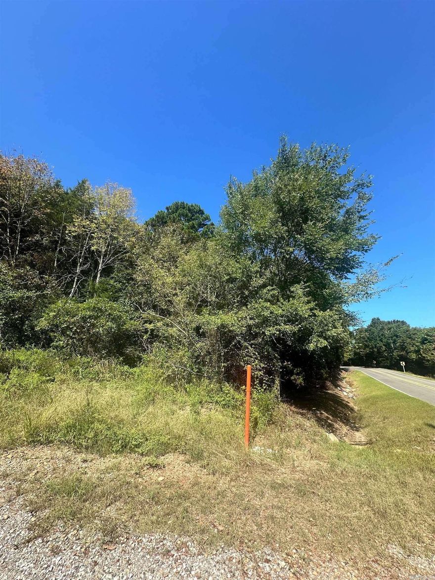 untouched acreage on a hillside, that with a little bit of clearing, has a gorgeous view!