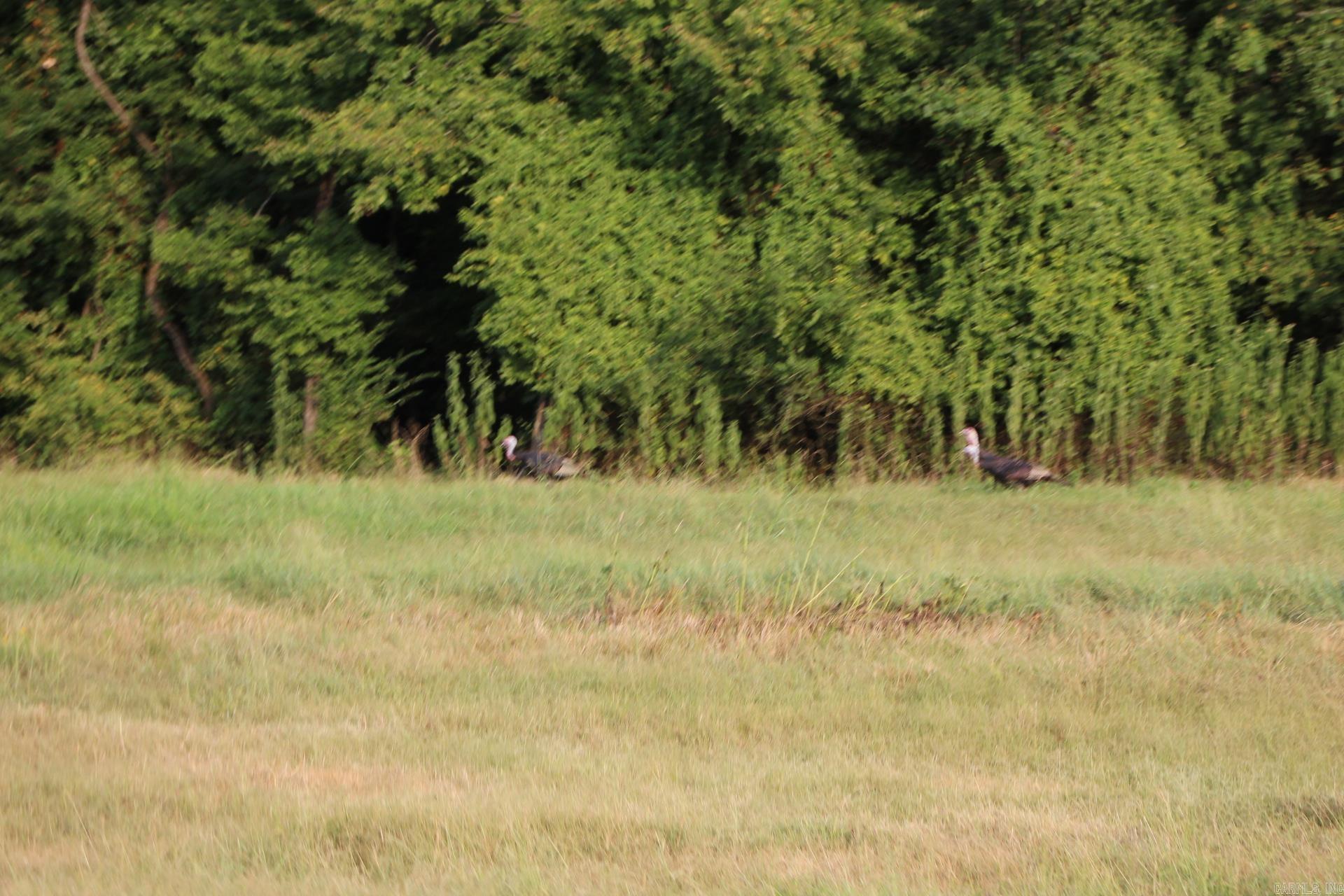 Not in Subdivision - Farm