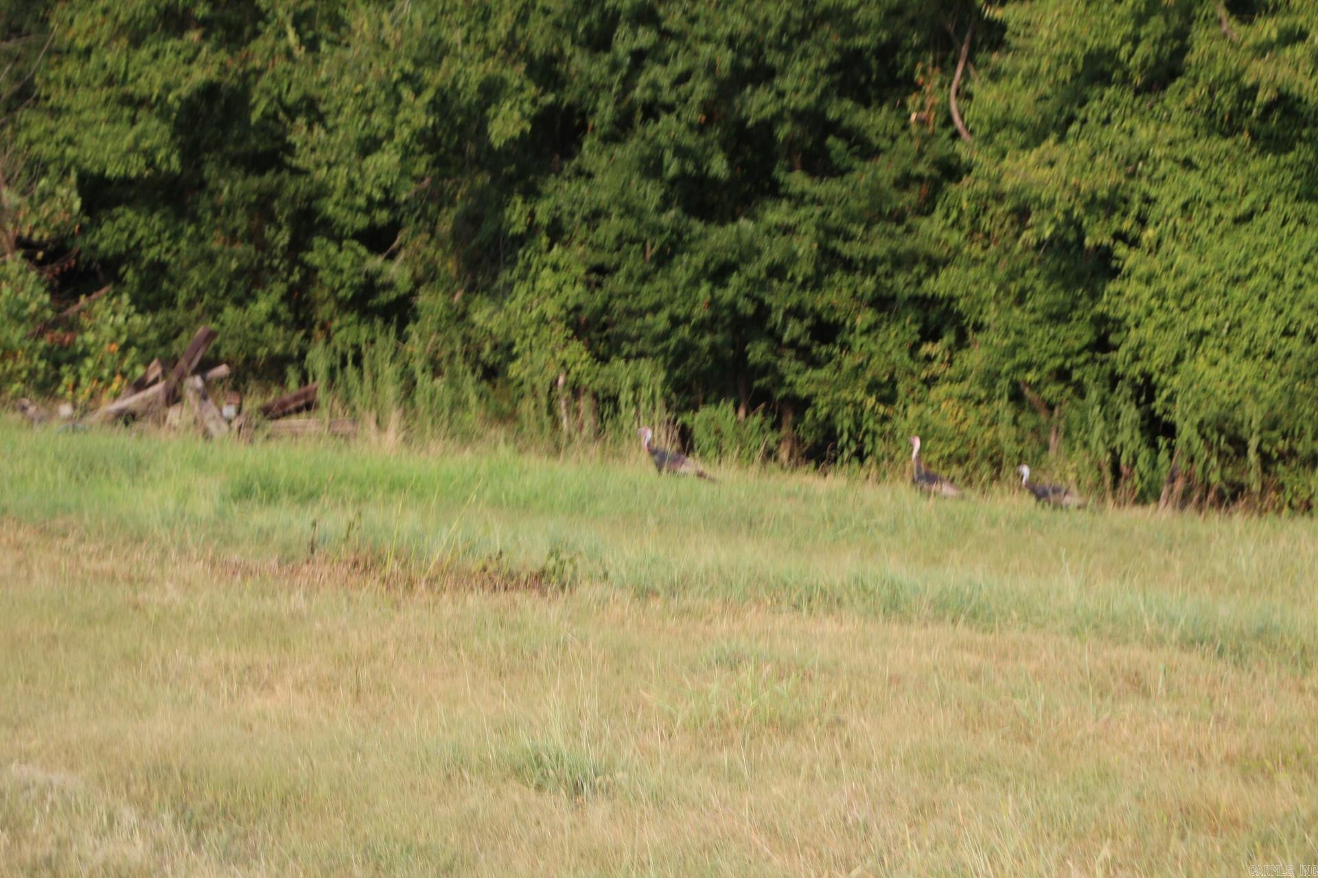 Not in Subdivision - Farm