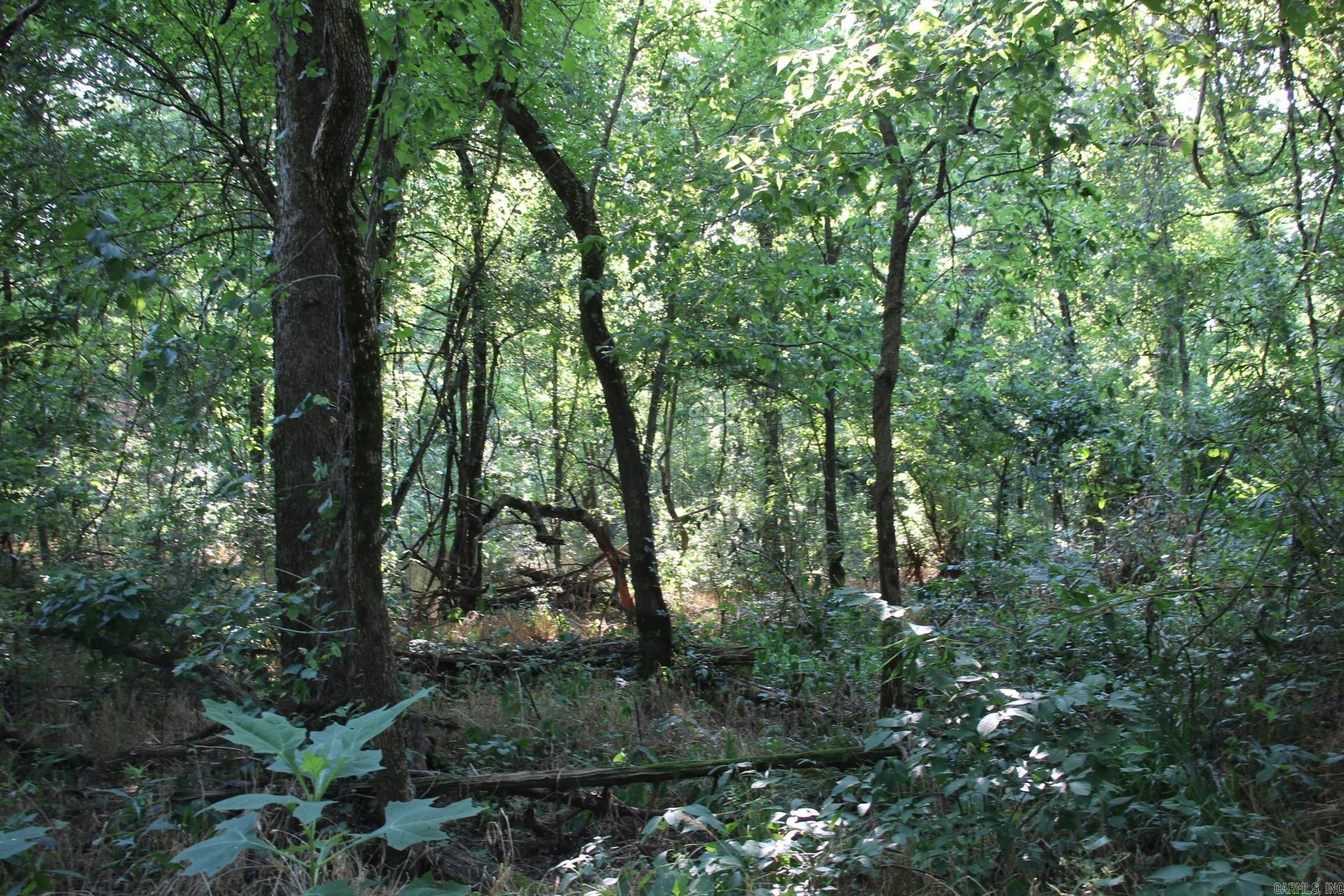 Not in Subdivision - Farm