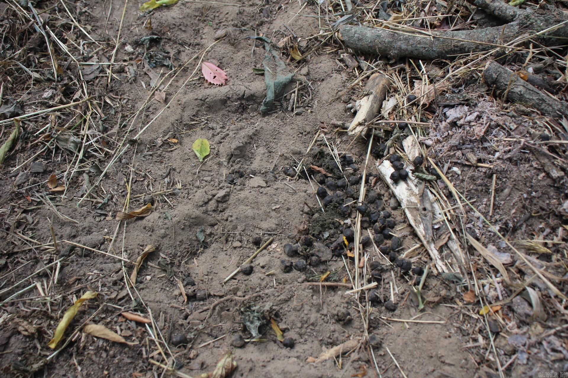 Not in Subdivision - Farm