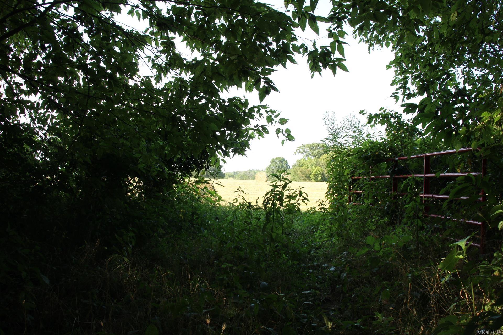 Not in Subdivision - Farm