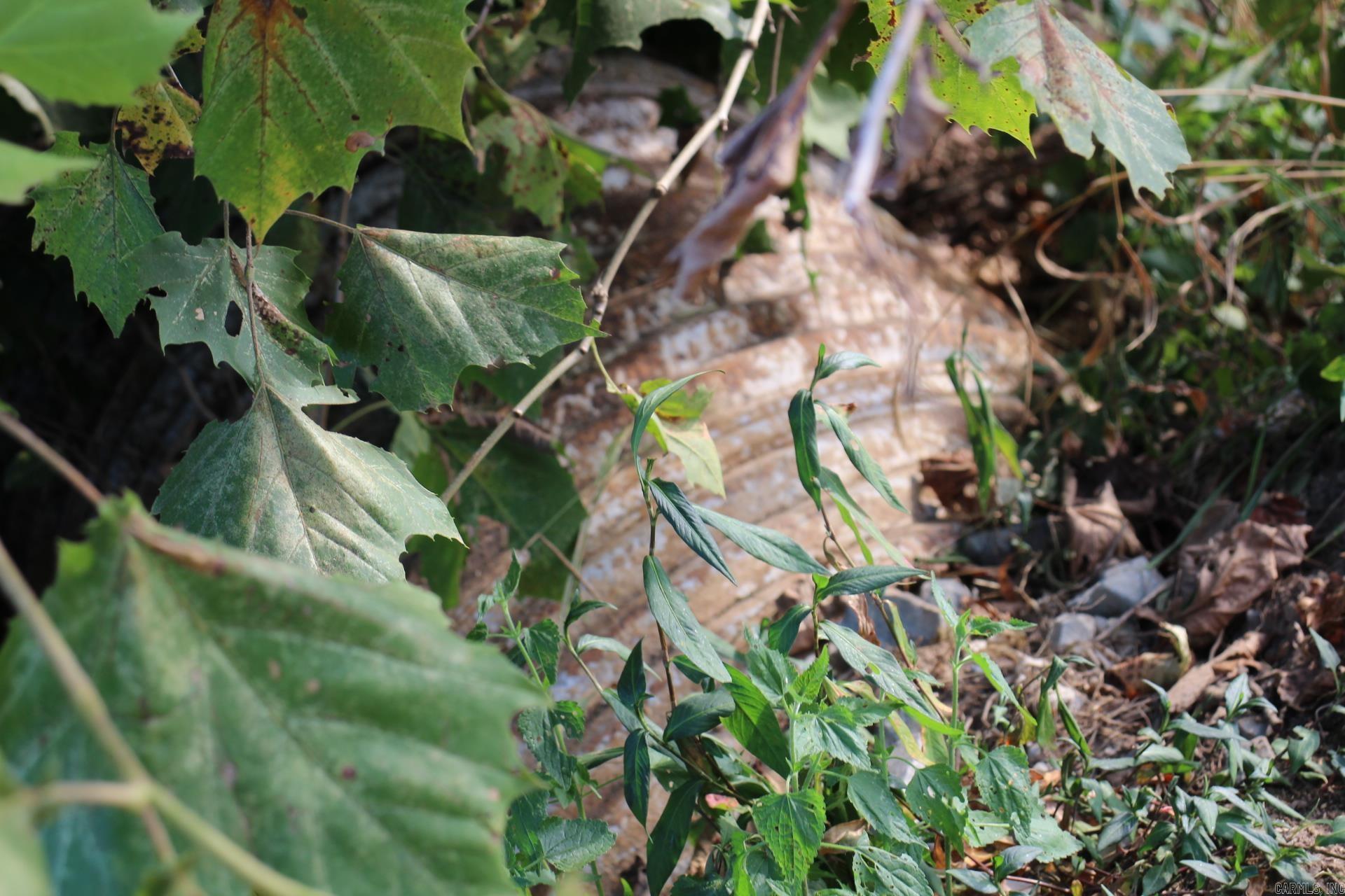 Not in Subdivision - Farm