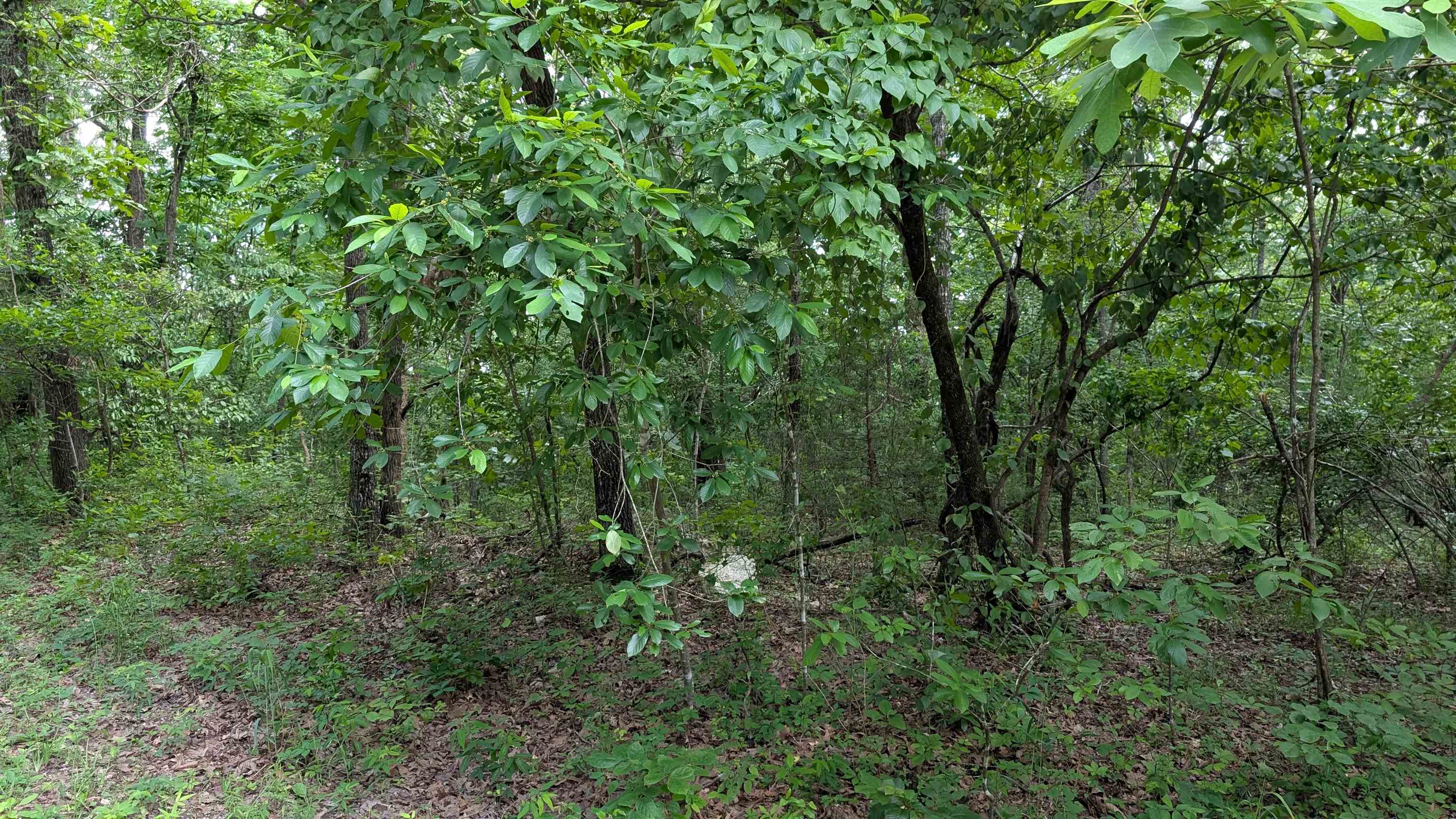 Sleepy Hollow - Land