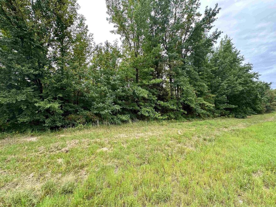 Highway 67, Corning, AR 72422 is a wooded 2-acre lot, this property has highway frontage and would make a great investment property for any business or home!