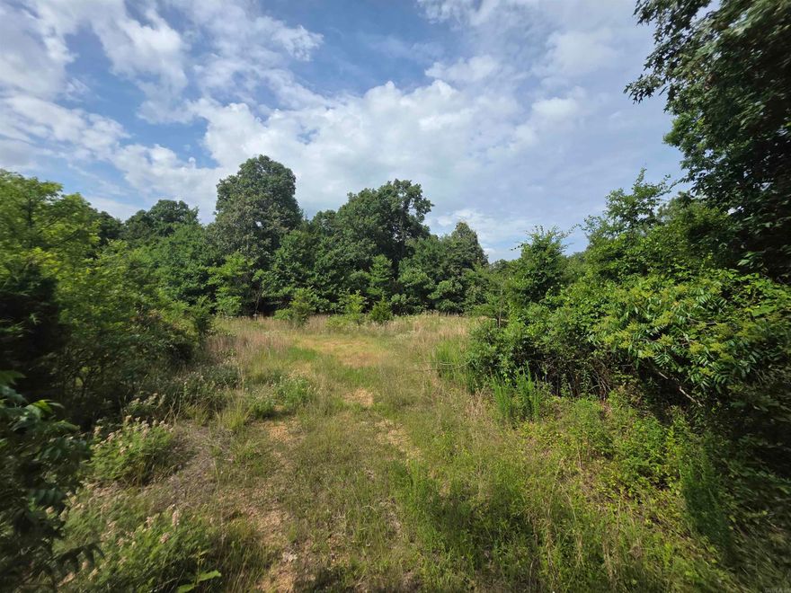 616 County Road 417 Rector.  Looking to build your dream home or just own your own hunting paradise this is it!!!! With just over 15 acres of timber, fenced on three sides and gravel road frontage.  Own your part of the ridge today.  Utilities are on the property along with lots of wildlife.  If you enjoy nature, you will love this property.  Call today to make this your retreat!!!