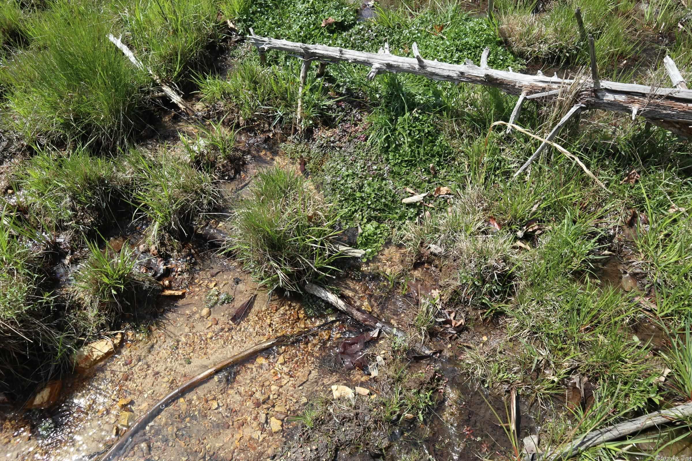 Metes & Bounds - Land