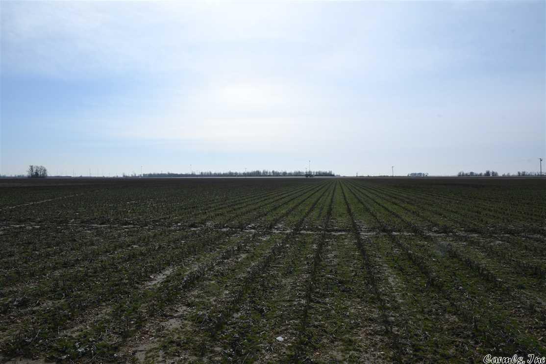 Not in Subdivision - Farm