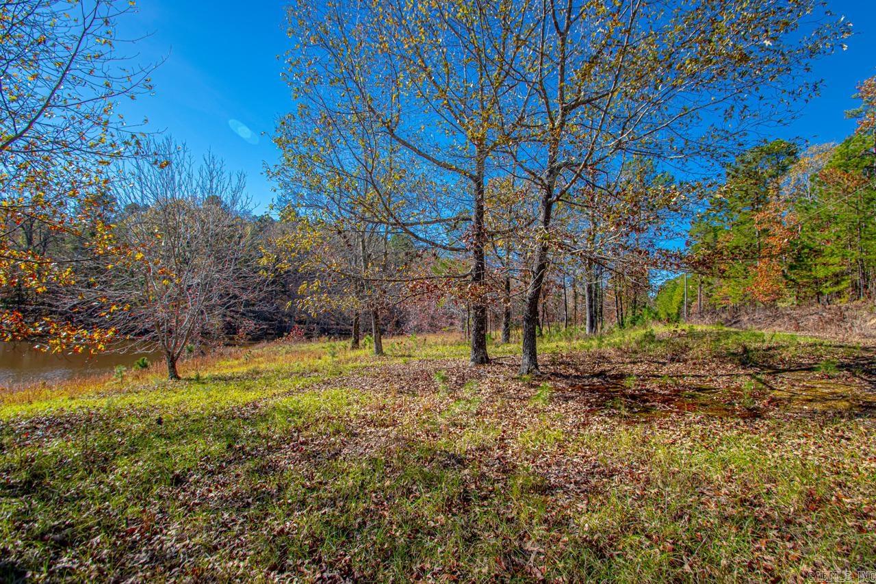 Brush Mountain - Land