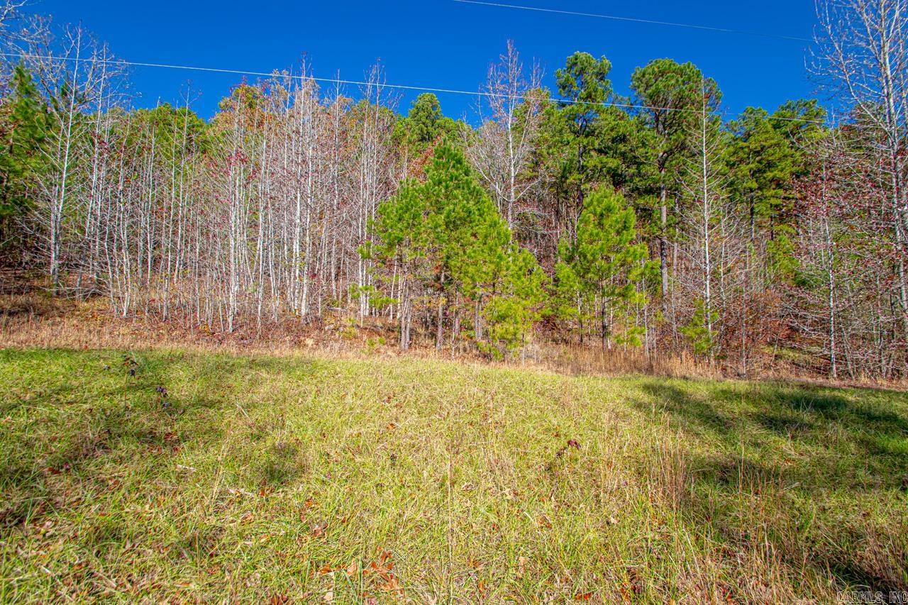 Brush Mountain - Land