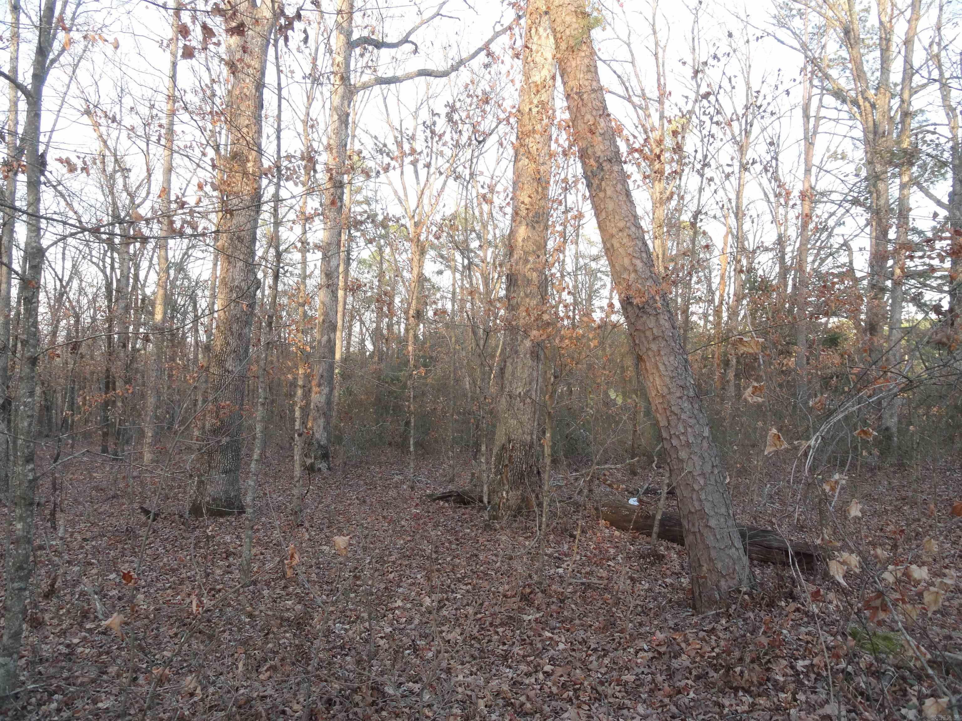 Metes & Bounds - Land