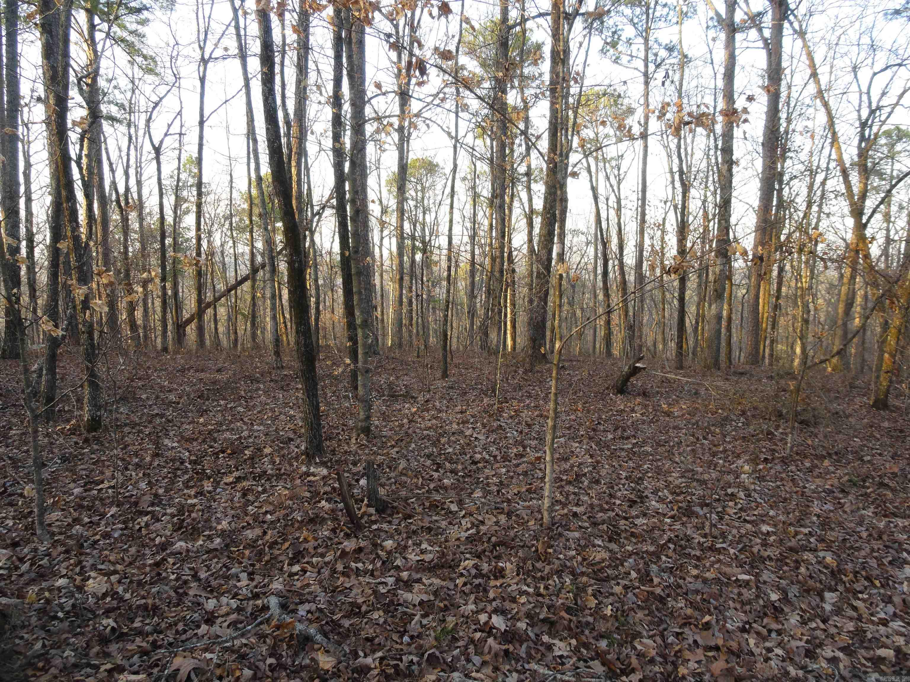 Metes & Bounds - Land