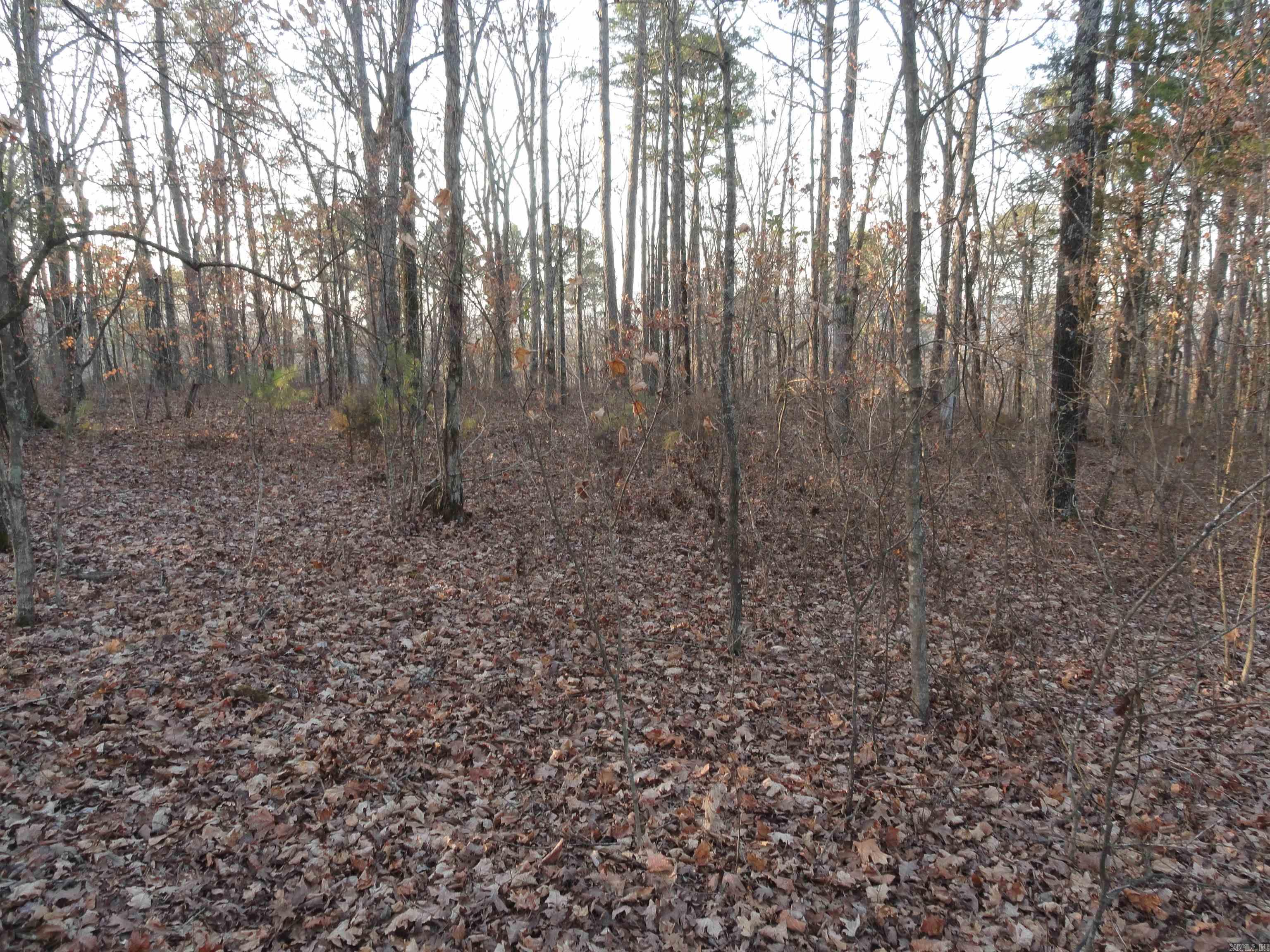 Metes & Bounds - Land